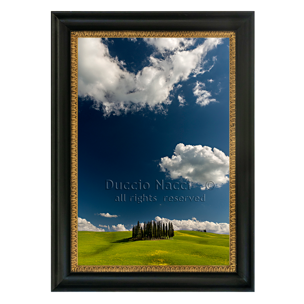 Cypress Island - Vertical - Duccio Nacci