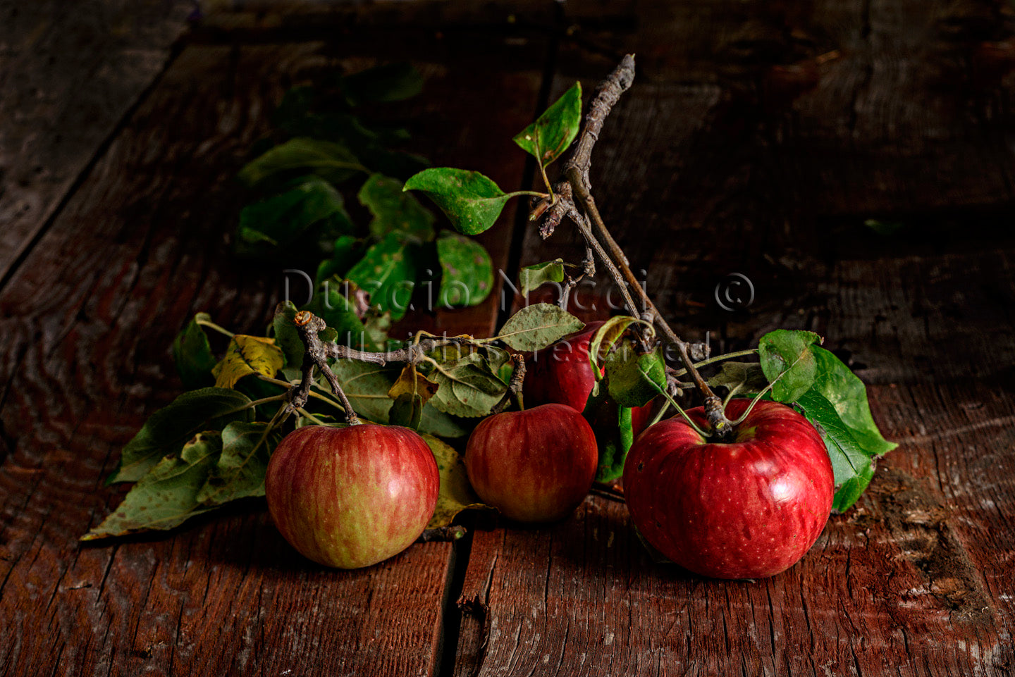 Still Life