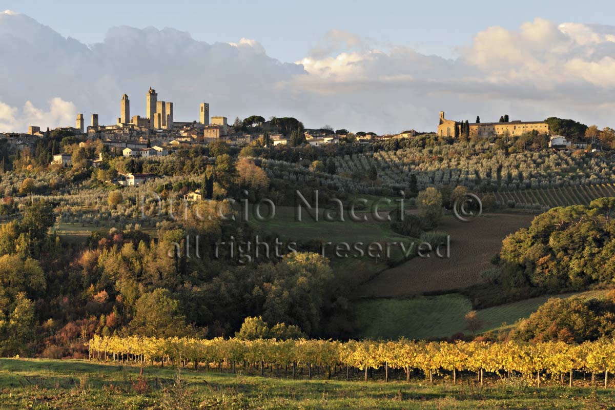 Golden San Gimignano - Duccio Nacci