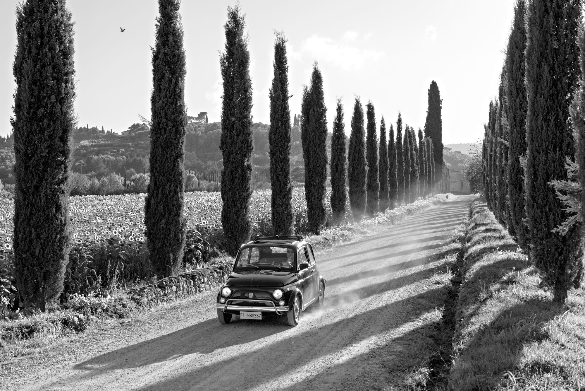 La Dolce Vita
