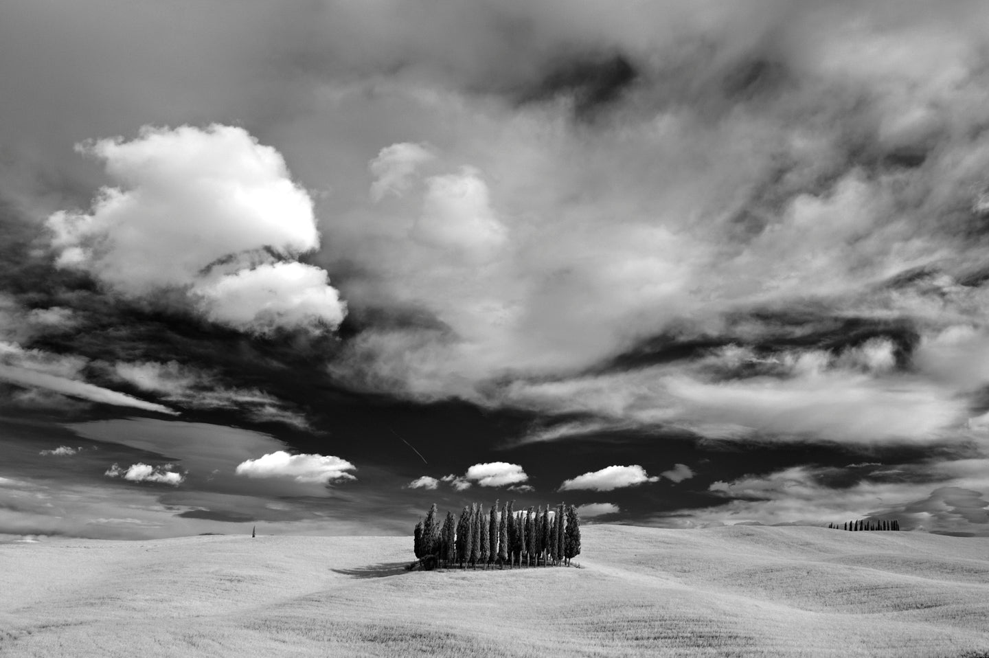 Black and White