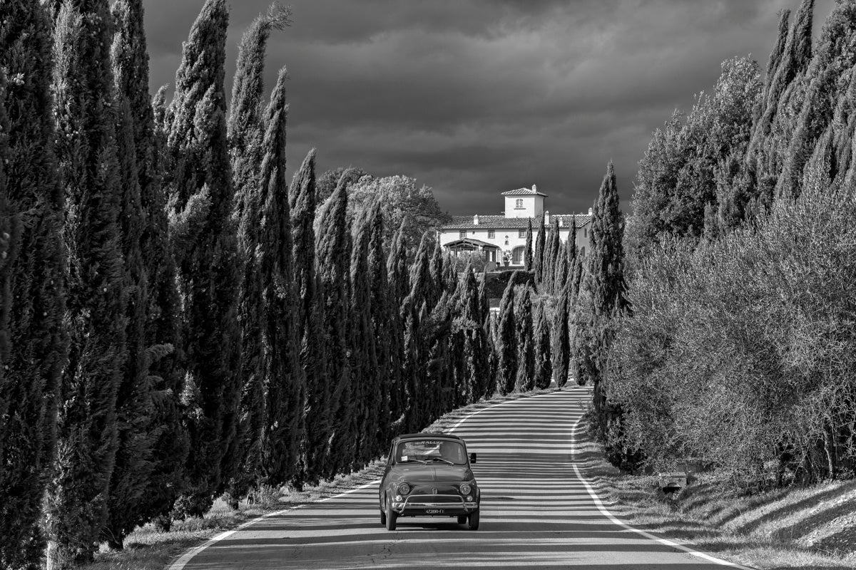 The Cypress Road - Duccio Nacci