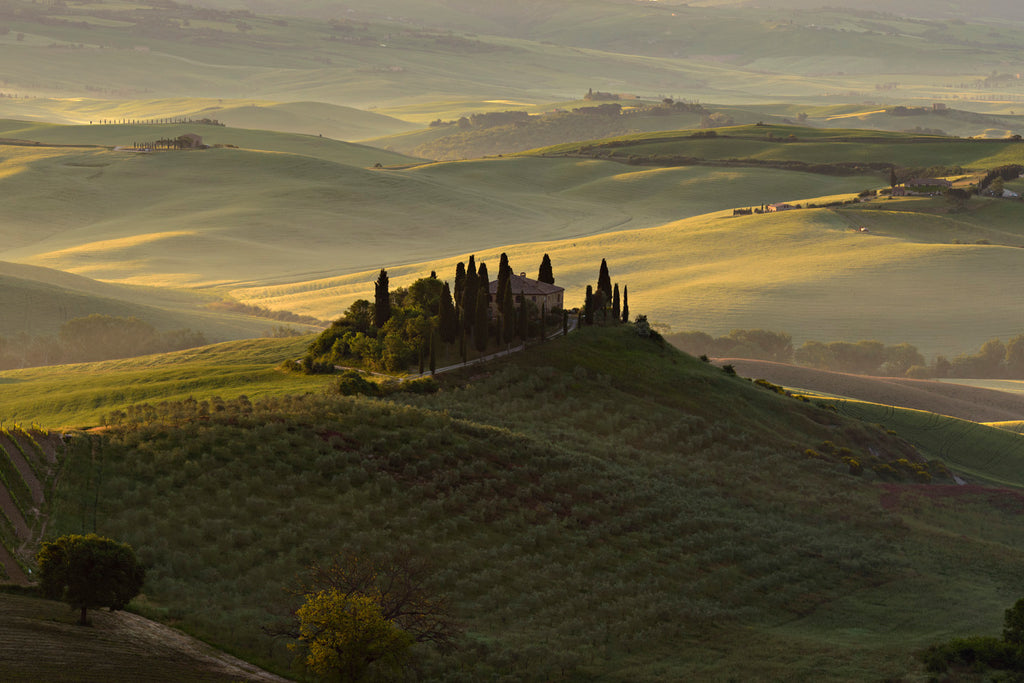 The Suspended Landscape