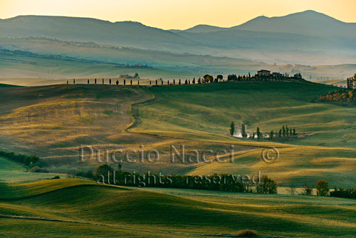 Armony of Val d'Orcia - Duccio Nacci