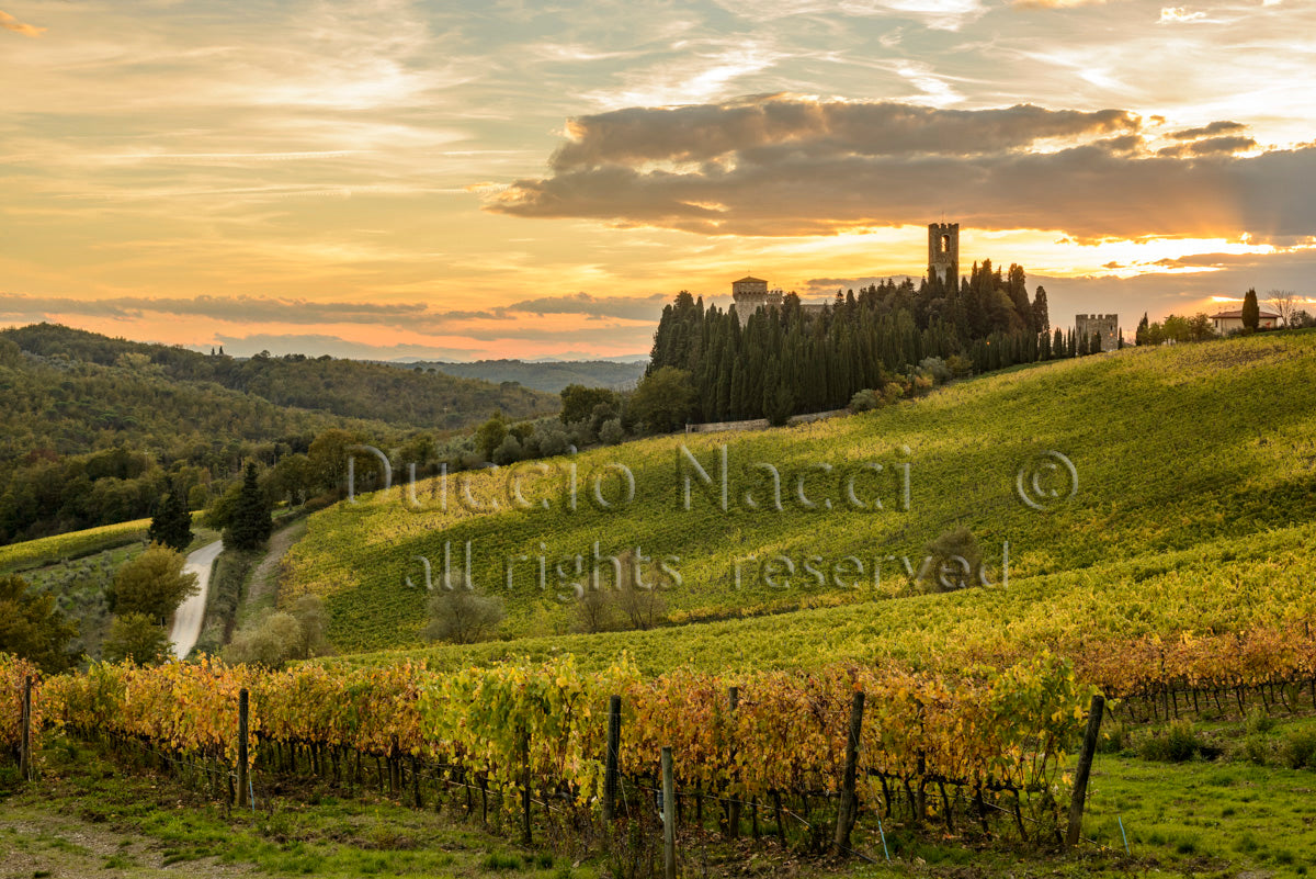 Path of Chianti - Duccio Nacci