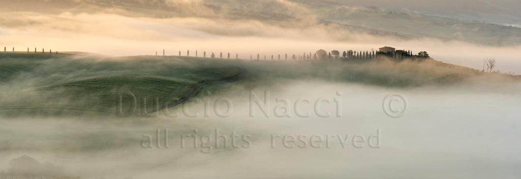 Morning in Val d'Orcia - Duccio Nacci