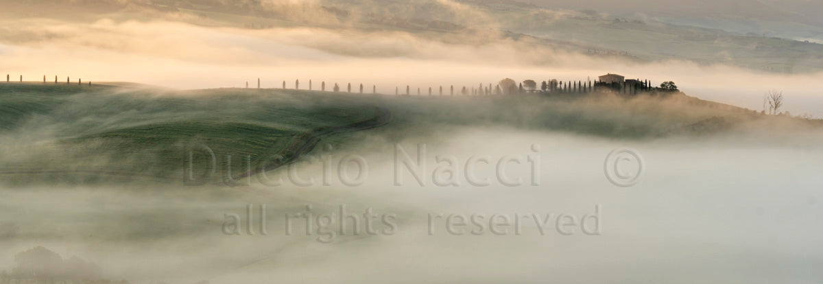 Morning in Val d'Orcia - Duccio Nacci