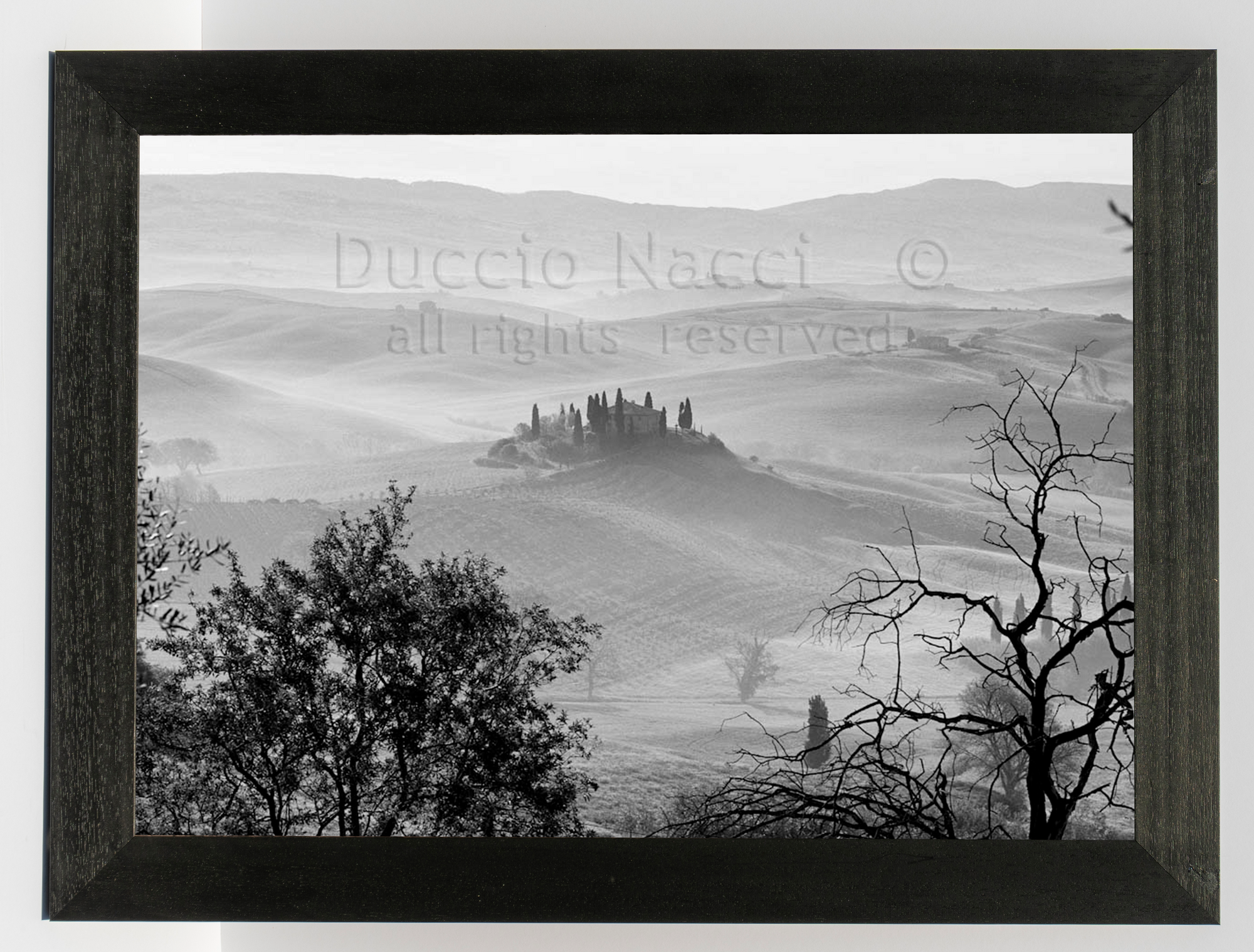 The Villa in the Mist