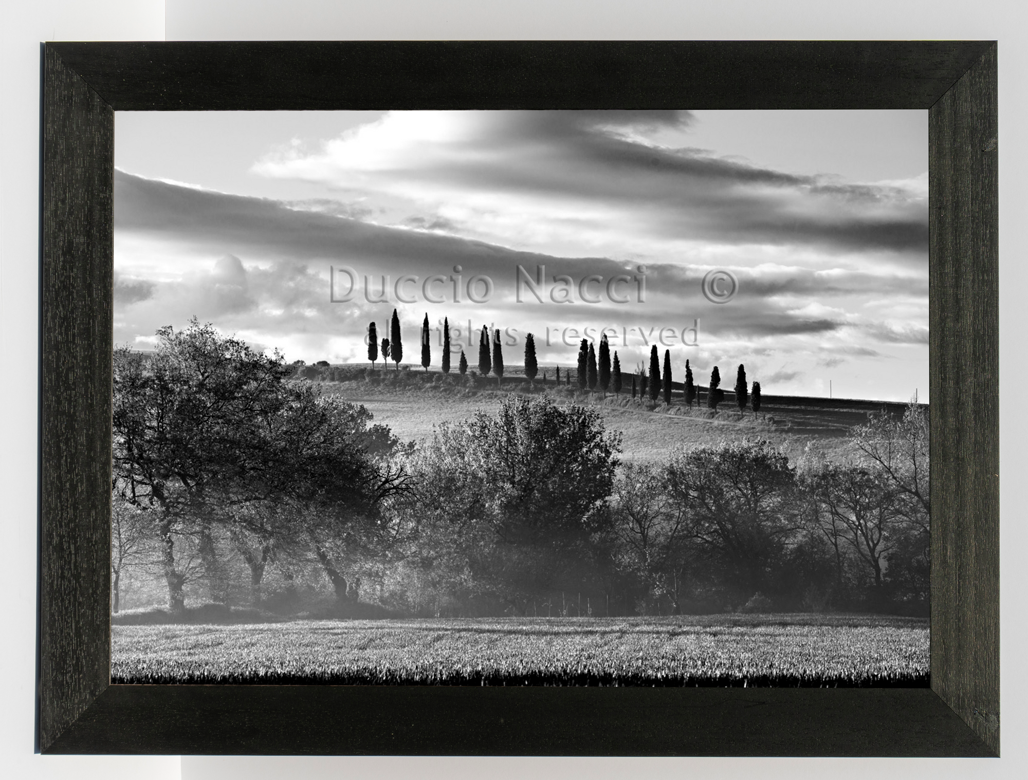 The Hill of Cypresses