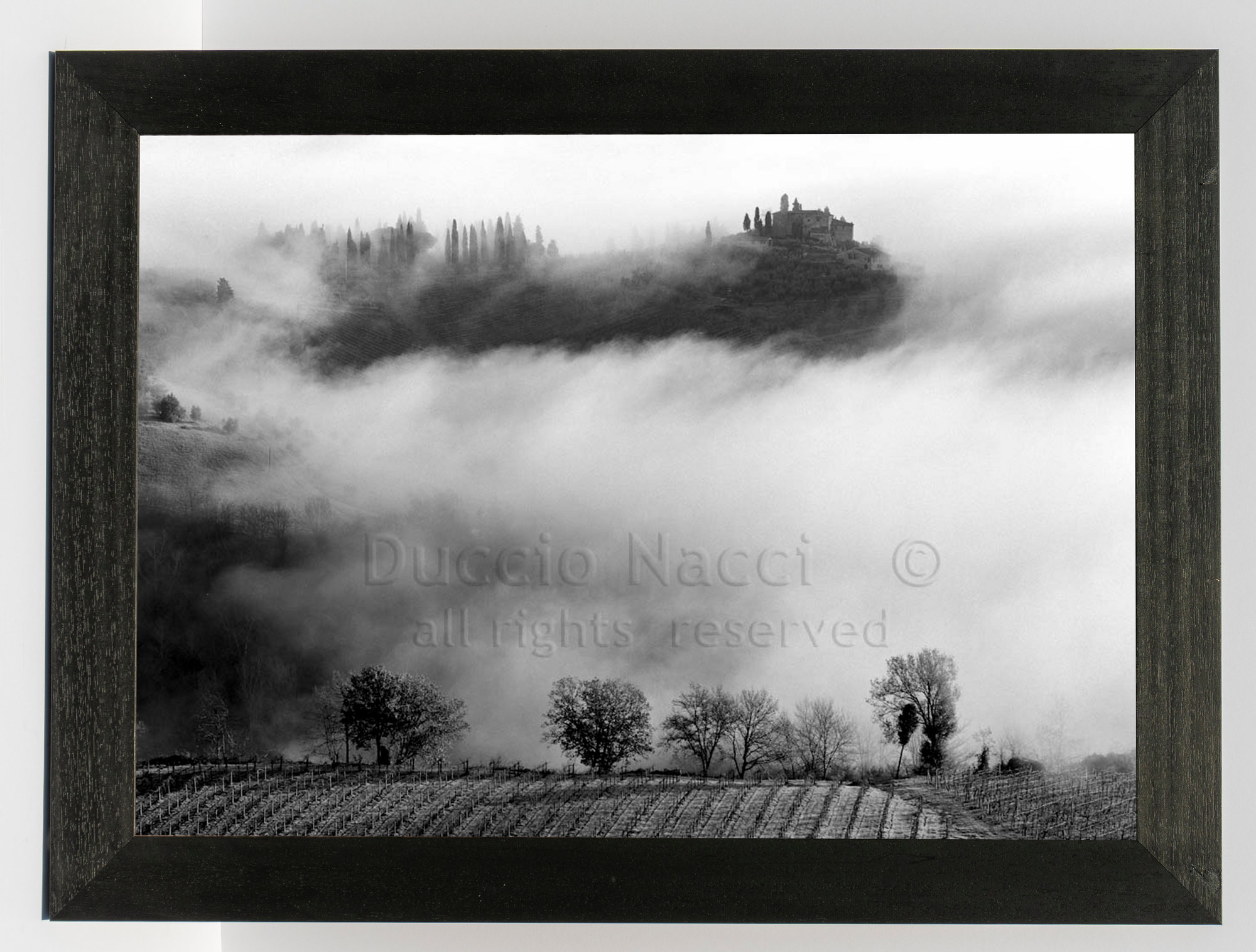 Whispers in the Mist