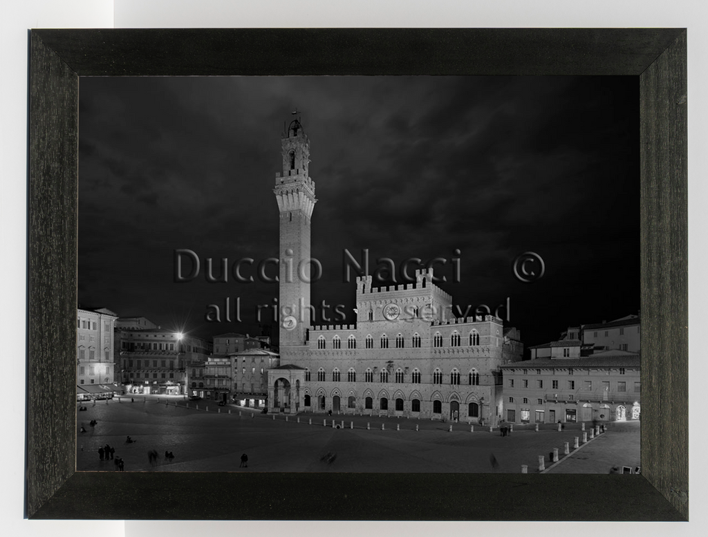 Piazza del Campo - Siena - Duccio Nacci