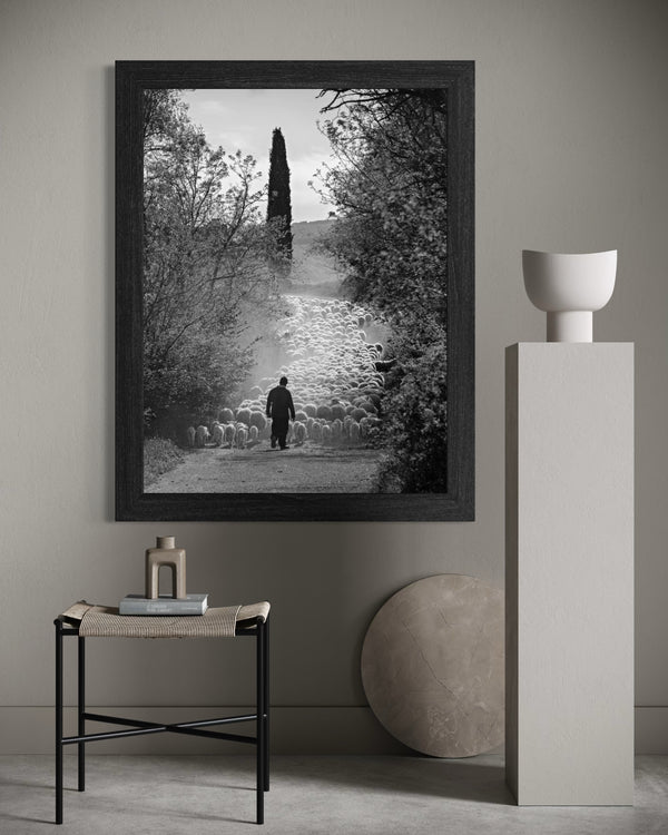 The Flock's Way - Duccio Nacci