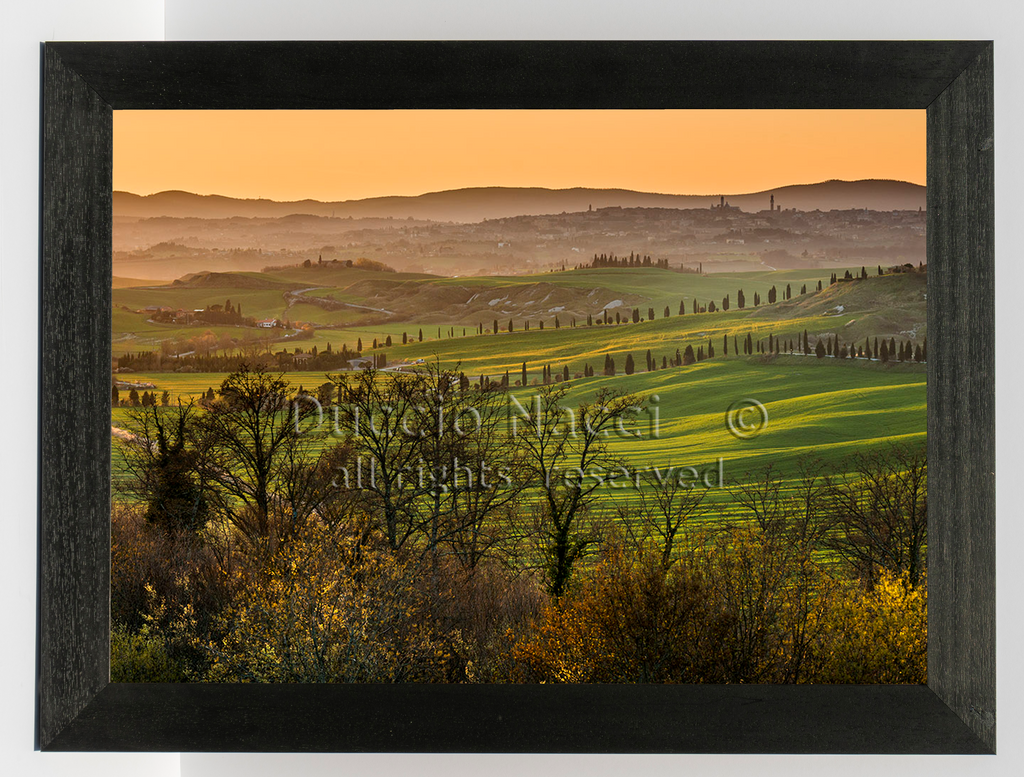 Waves of Land - Duccio Nacci