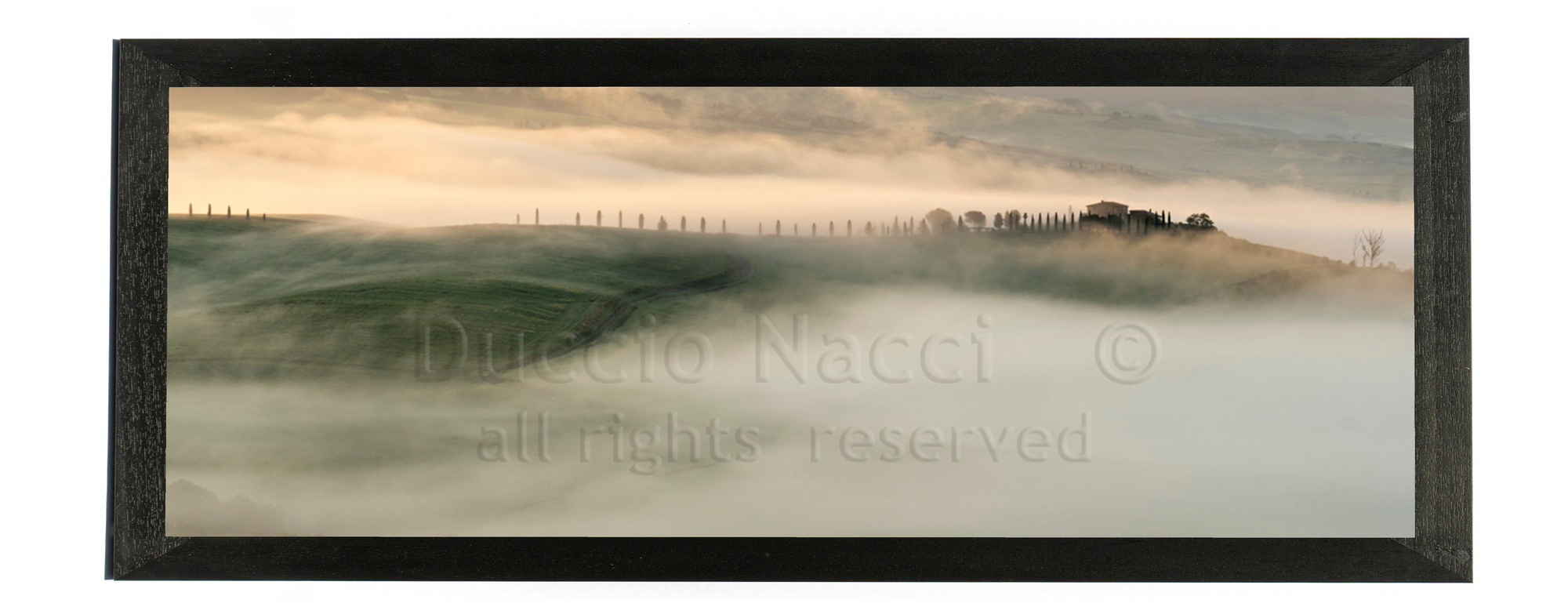 Morning in Val d'Orcia