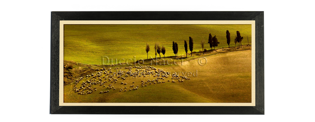 The Flock's Dance - Duccio Nacci