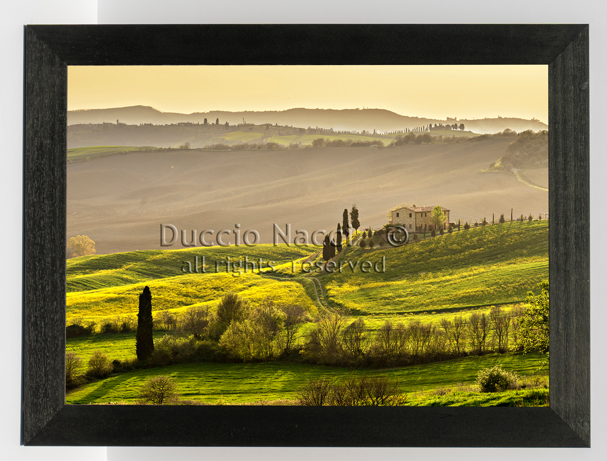 Timeless Countryside - Duccio Nacci