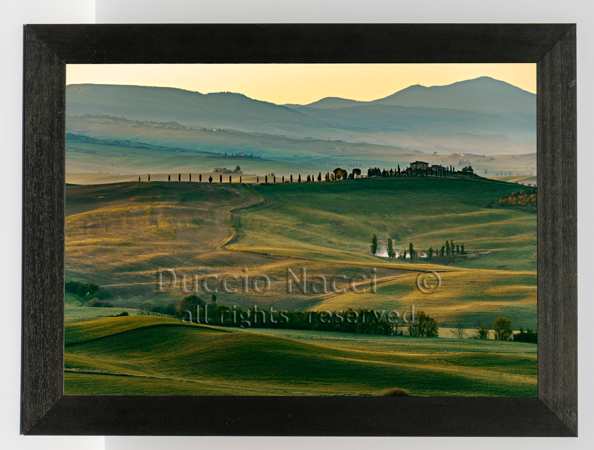 Armony of Val d'Orcia - Duccio Nacci