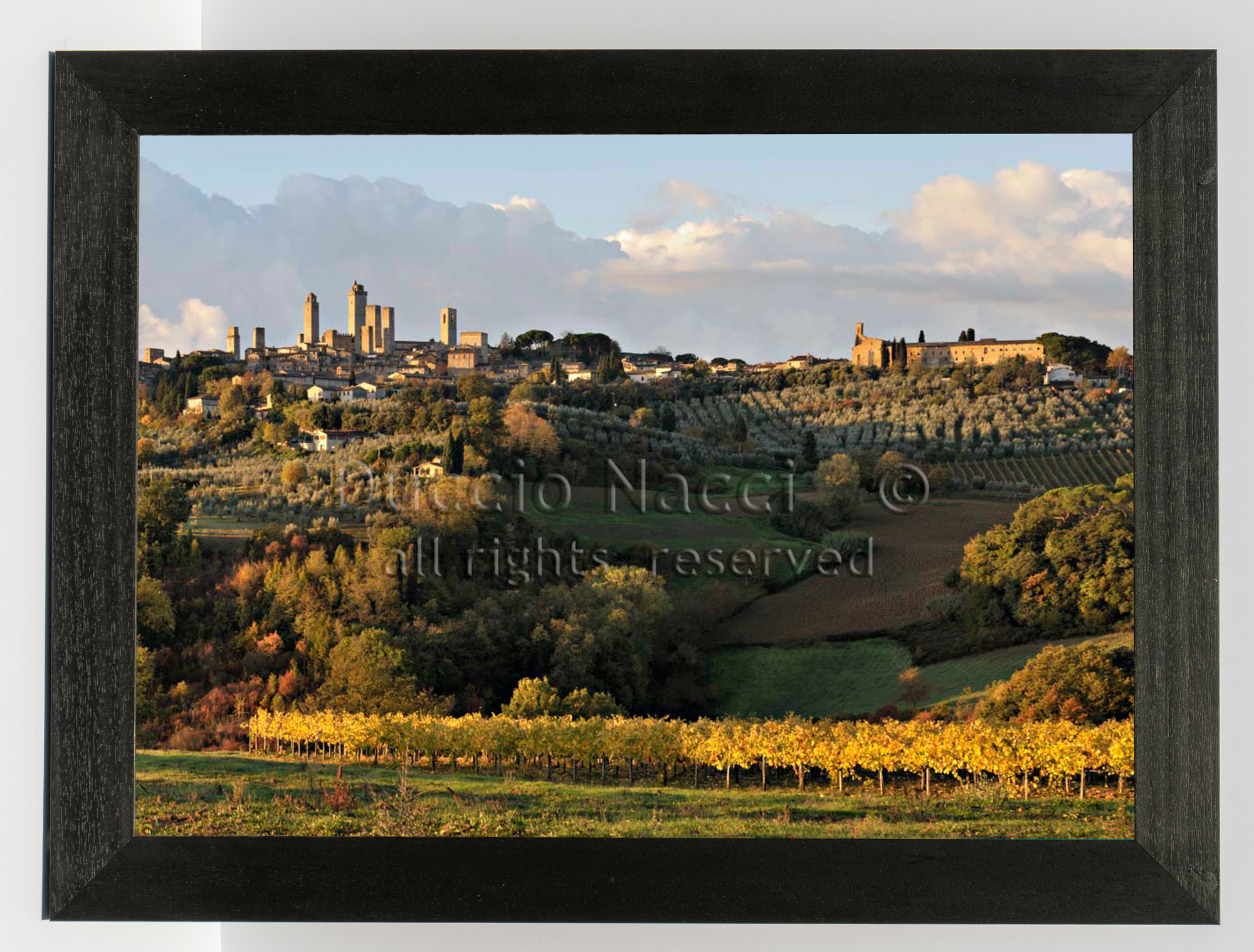 Golden San Gimignano