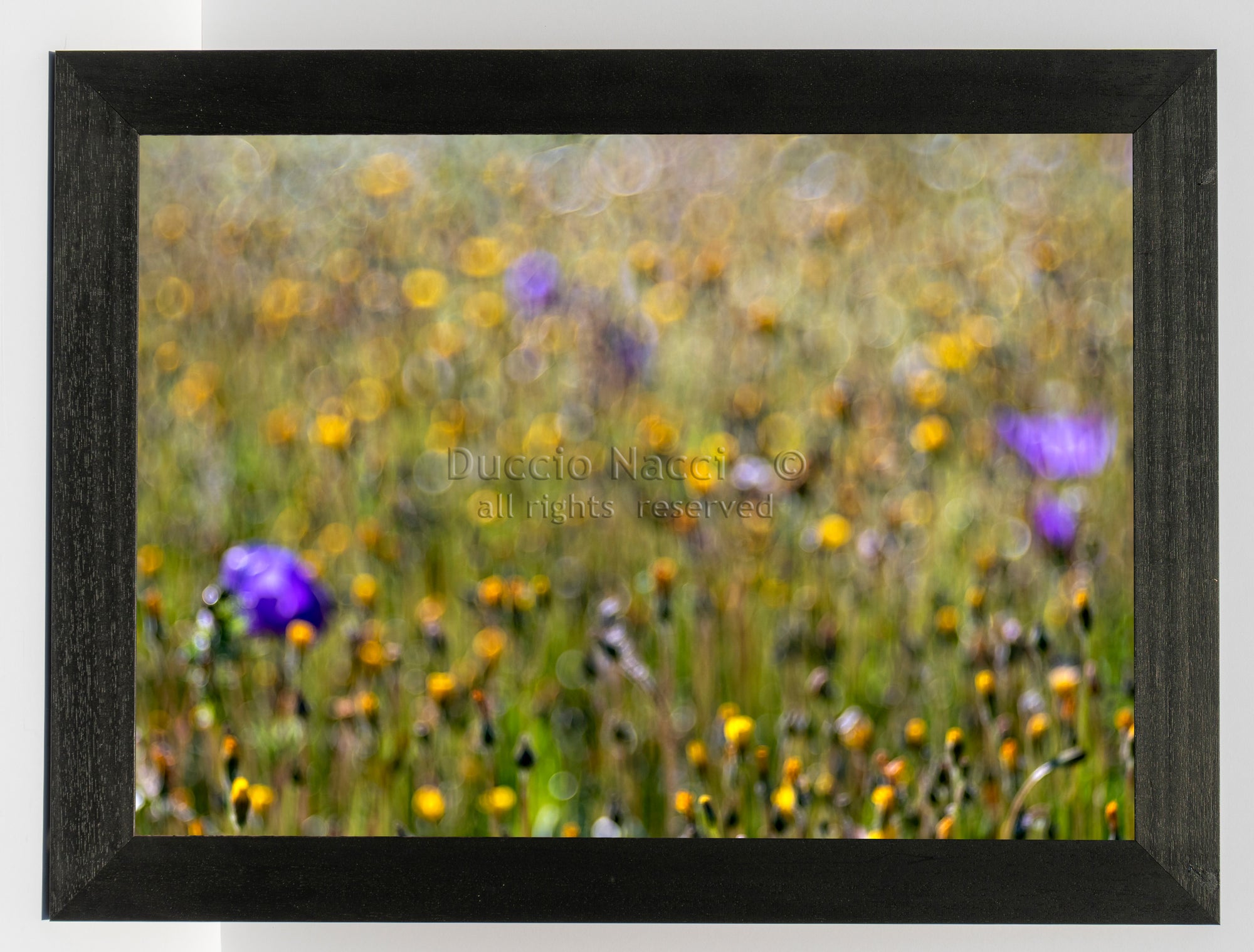 Wildflower Whispers - Duccio Nacci