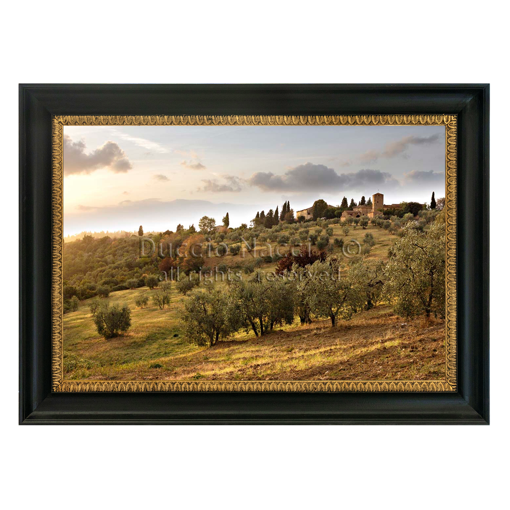 The Quiet of the Olives