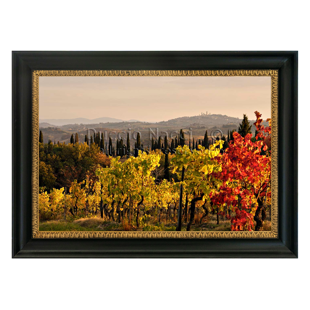 Golden Vines
