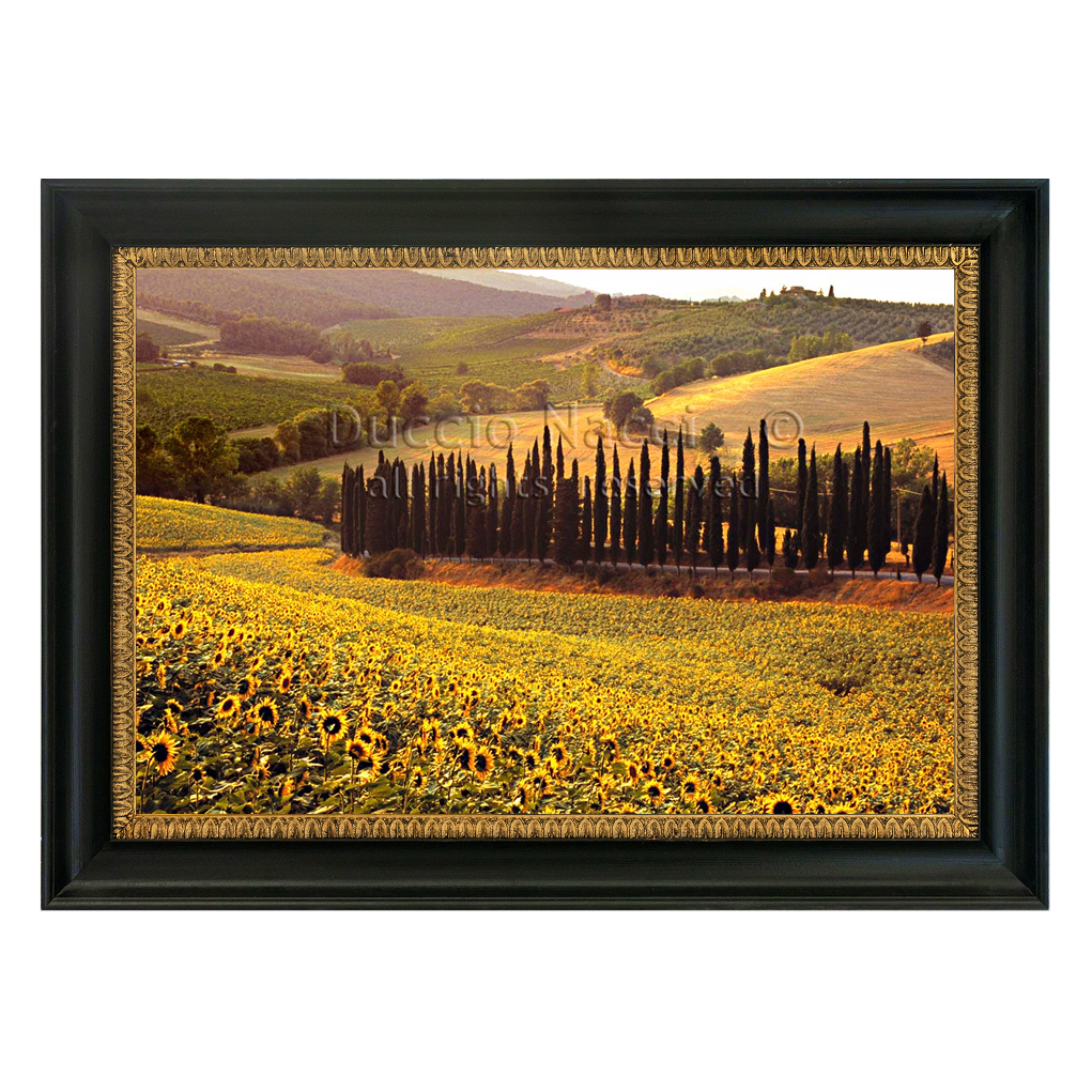 The Sunflowers Chant