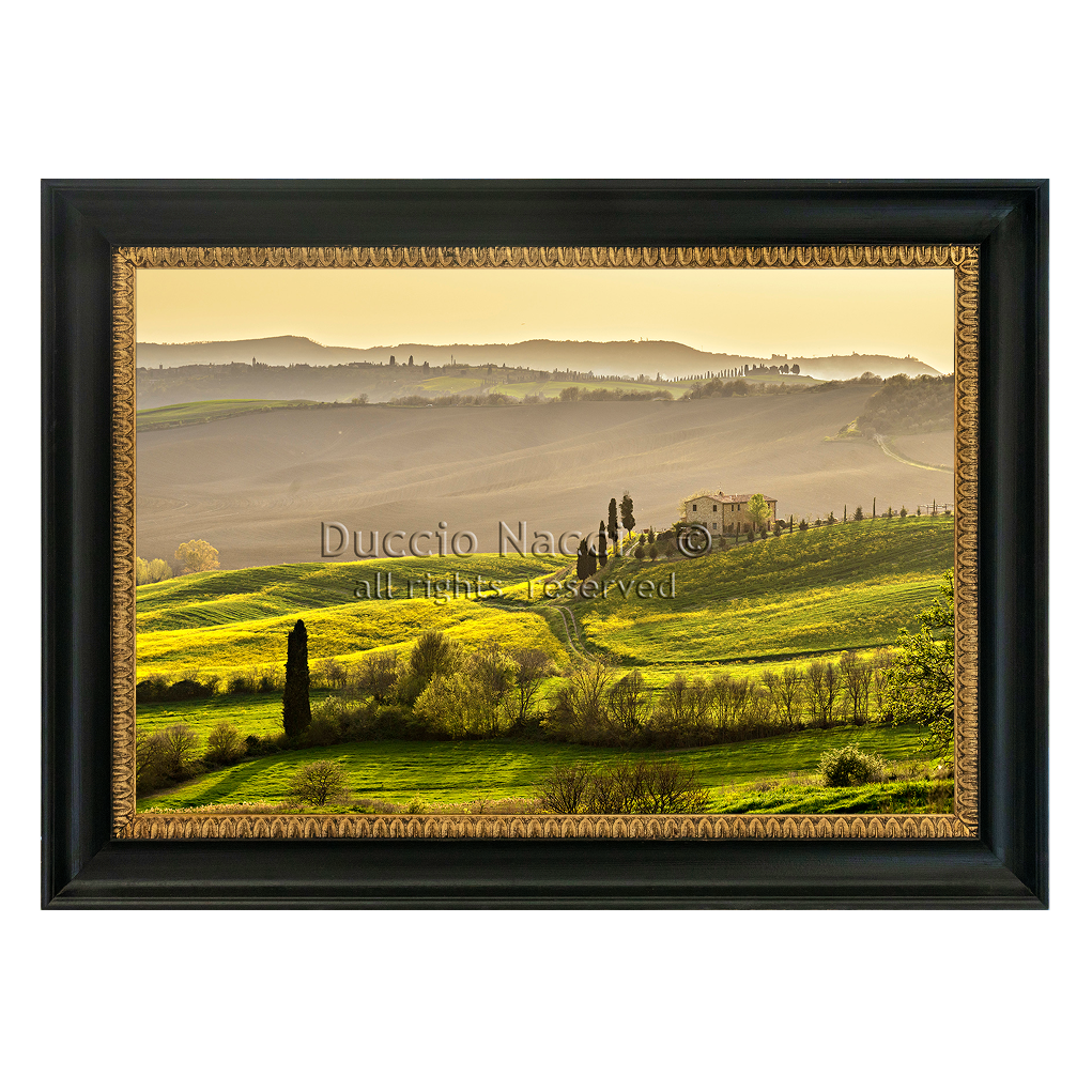 Timeless Countryside