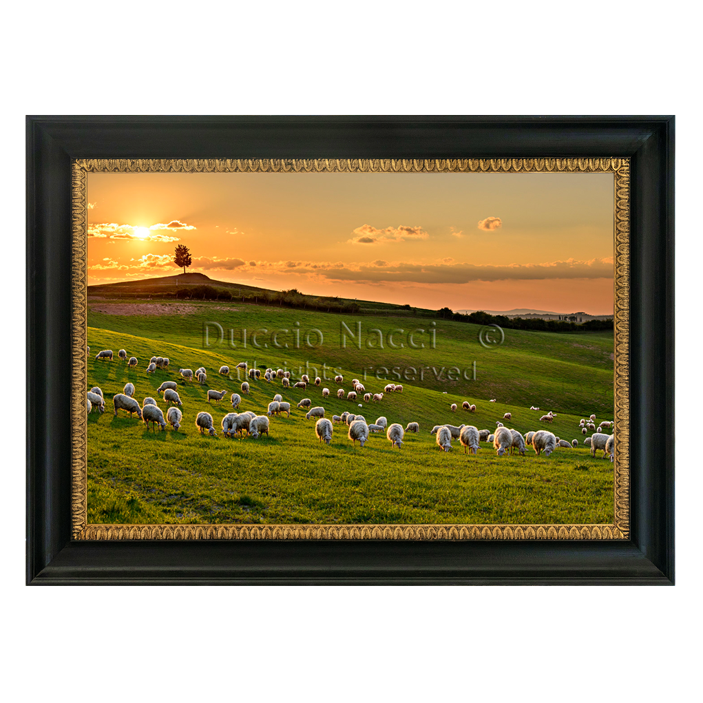 The Pasture at Sunset