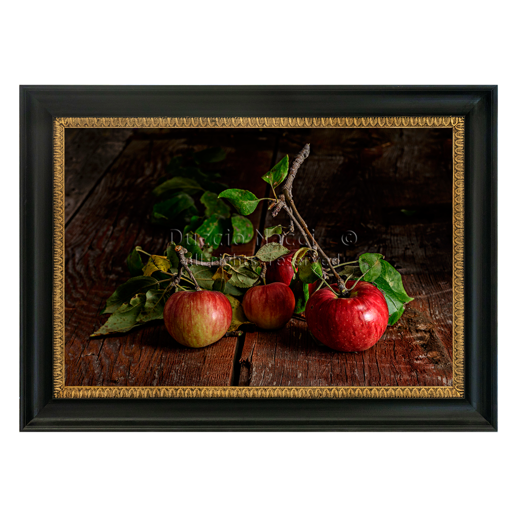 Solitude of an Apple