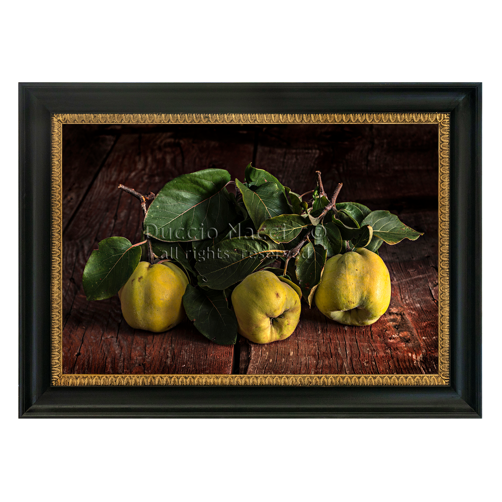 Soul of the Quince