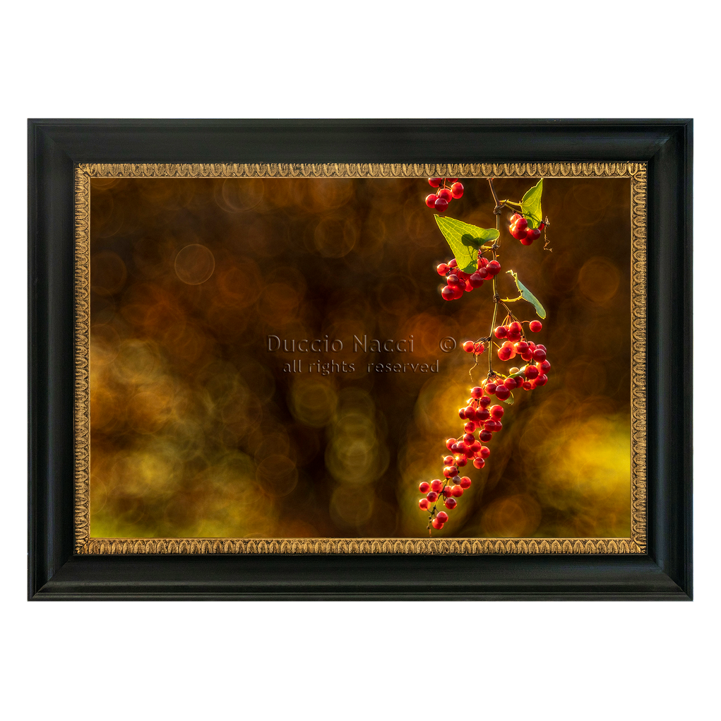 Fiery Red Berries