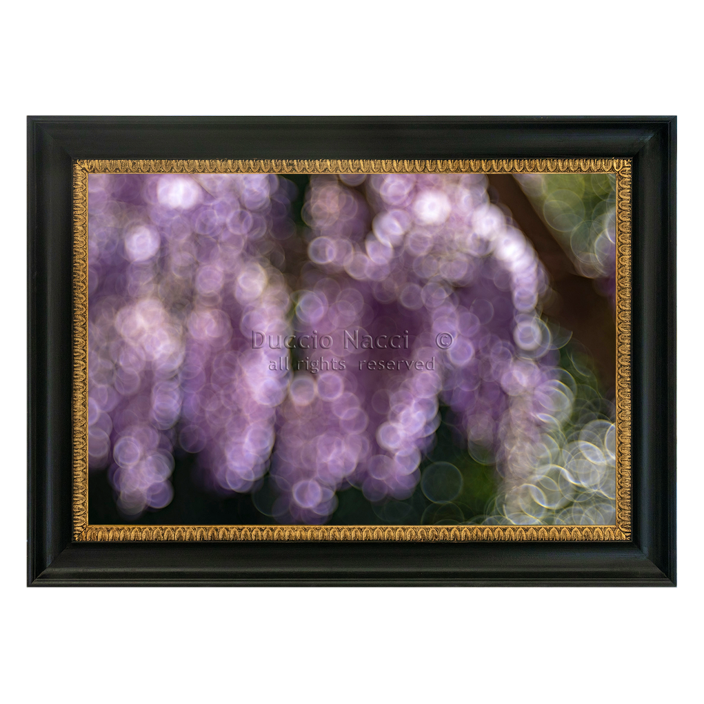 Violet Reverie