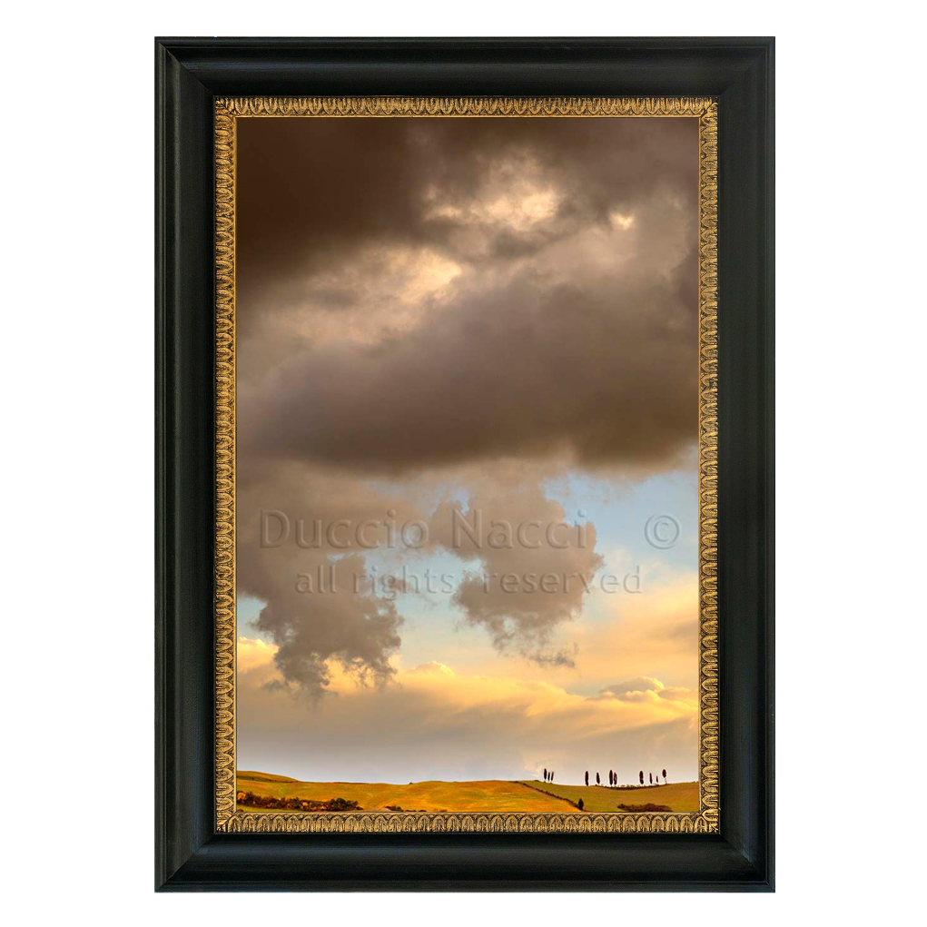 Golden Hills