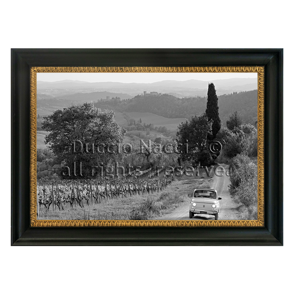 Journey through the  Vineyards