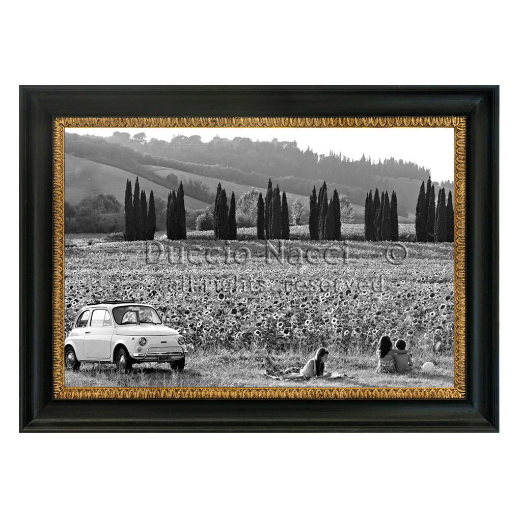 The Road of Sunflowers