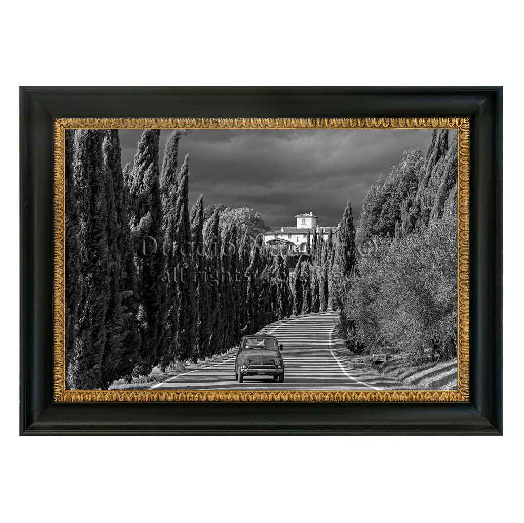 The Cypress Road