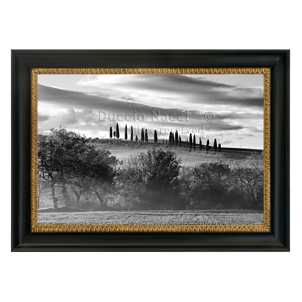 The Hill of Cypresses