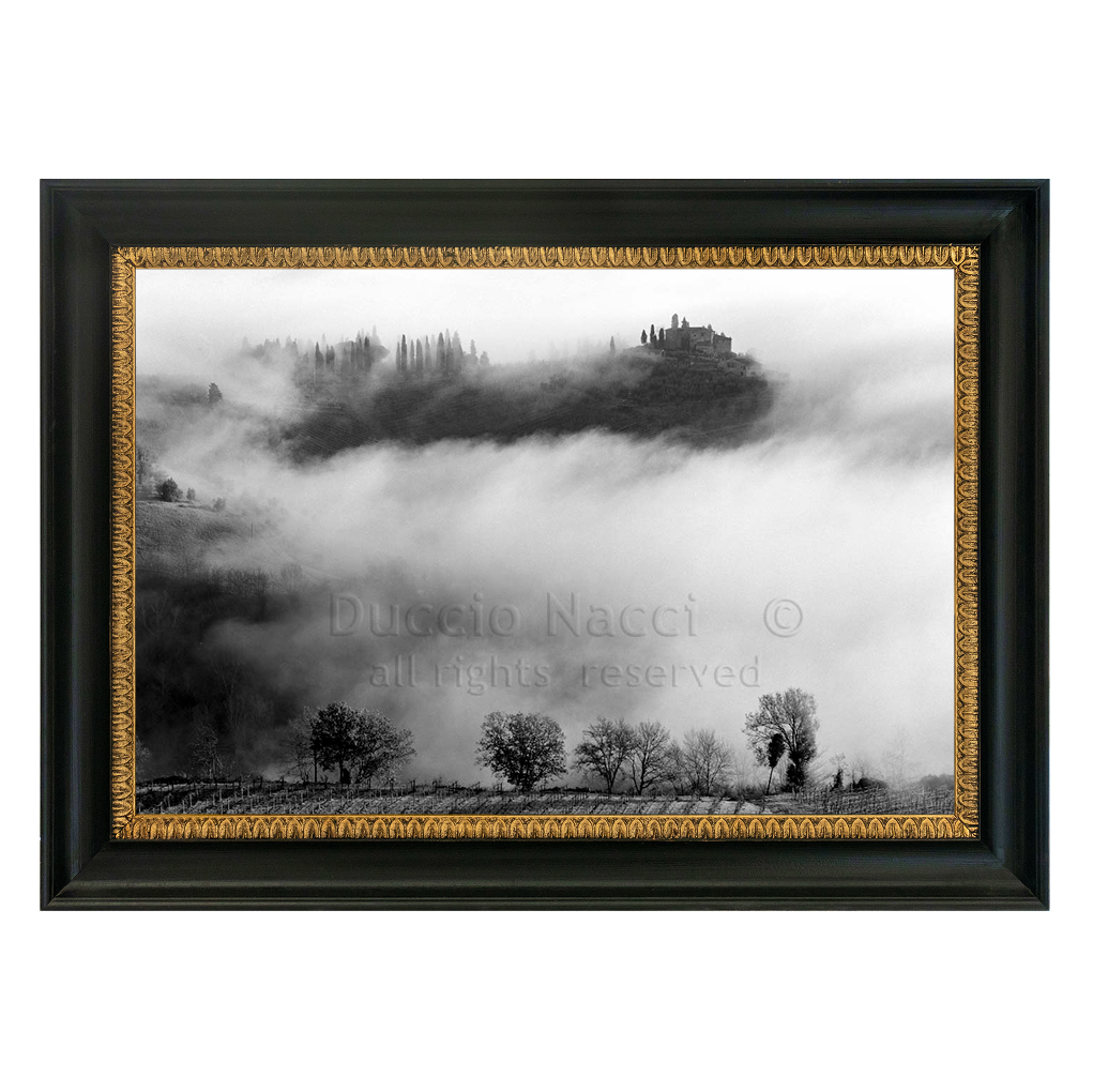 Whispers in the Mist