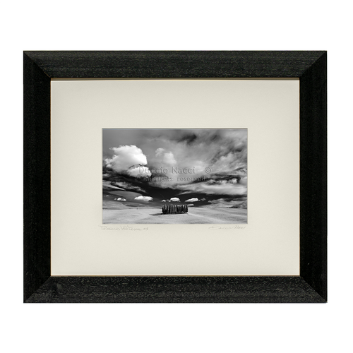 Cathedral of Cypress - Orizontal - Duccio Nacci