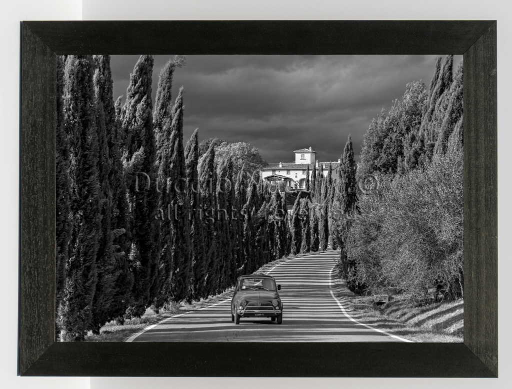 The Cypress Road - Duccio Nacci