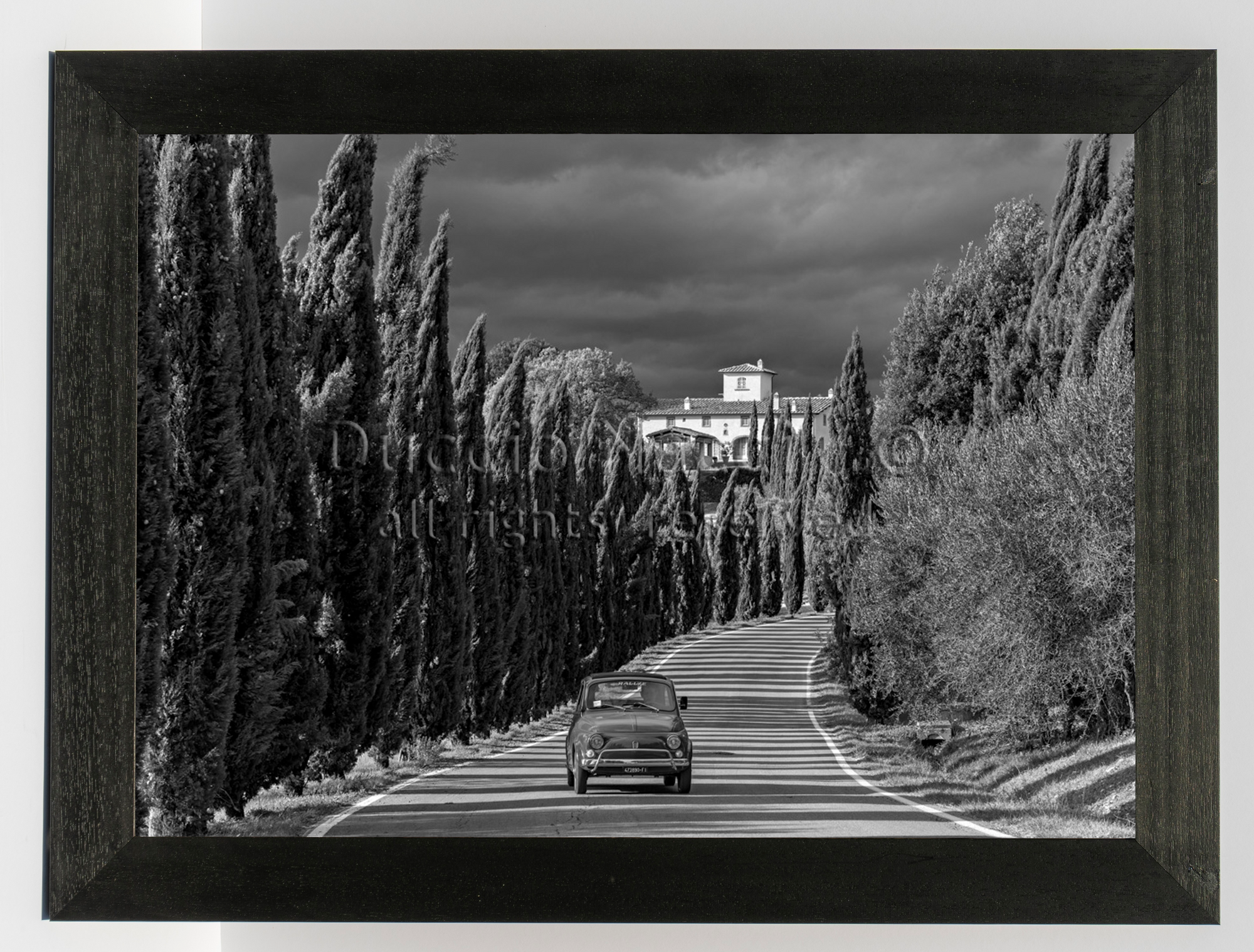The Cypress Road