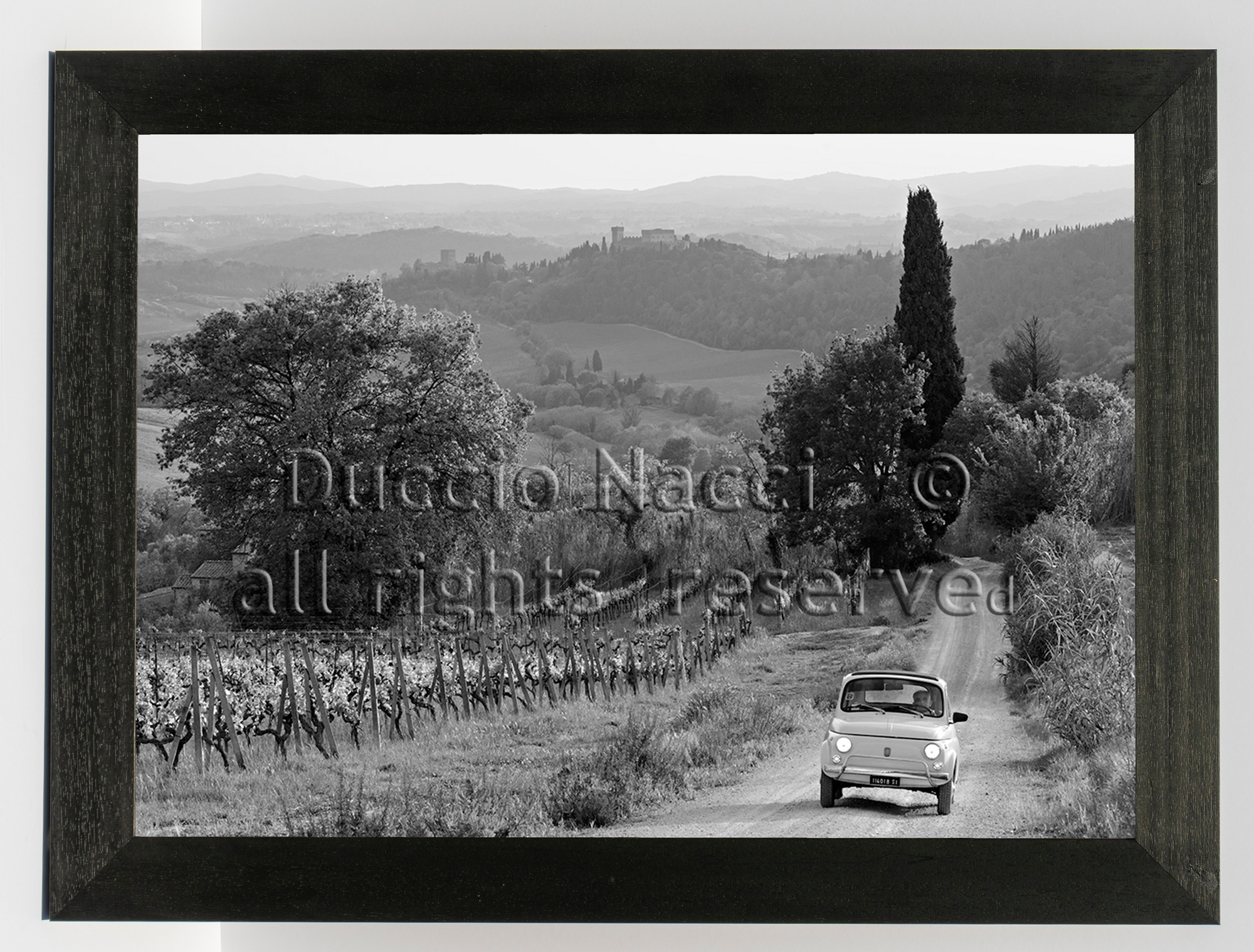Journey through the  Vineyards