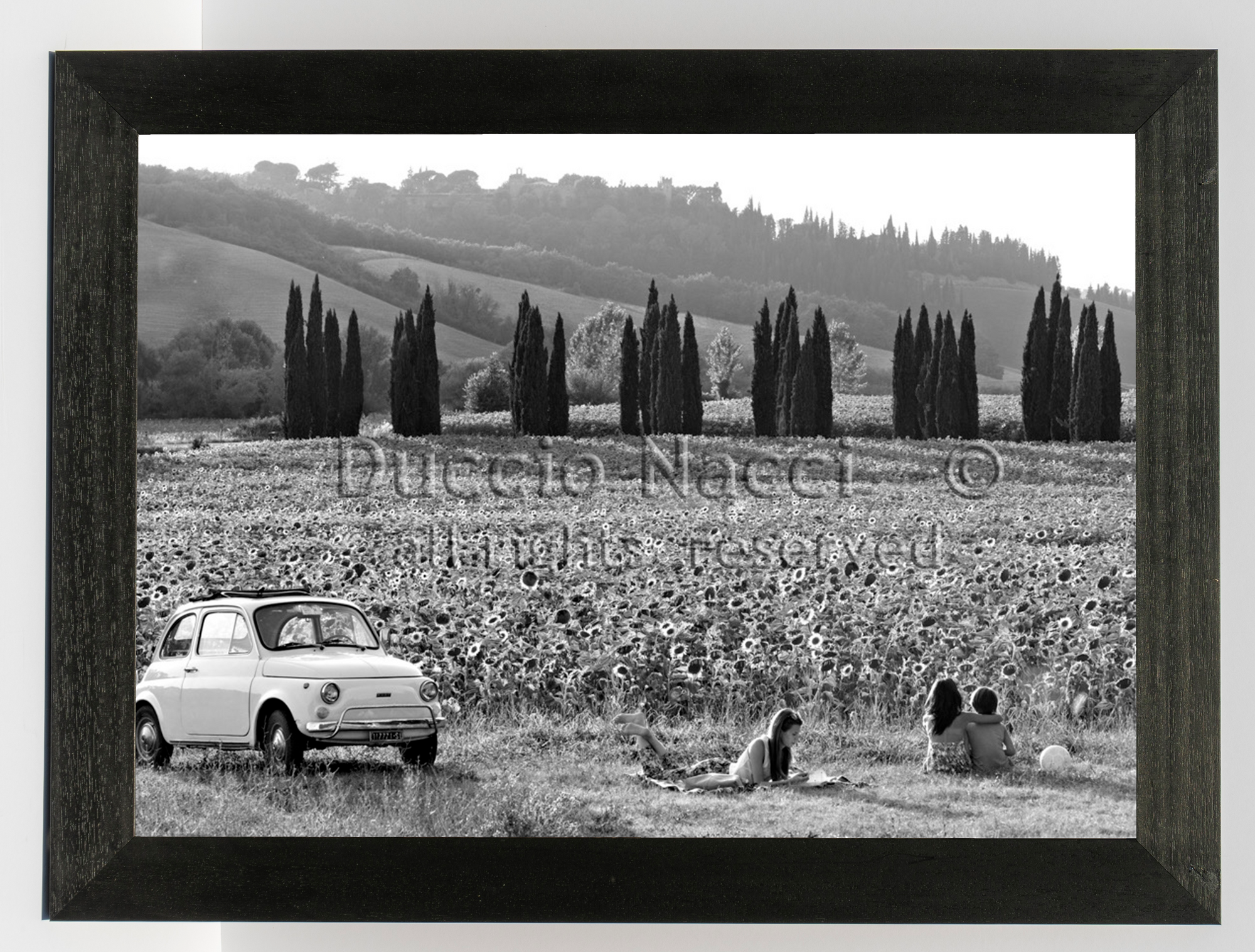 The Road of Sunflowers
