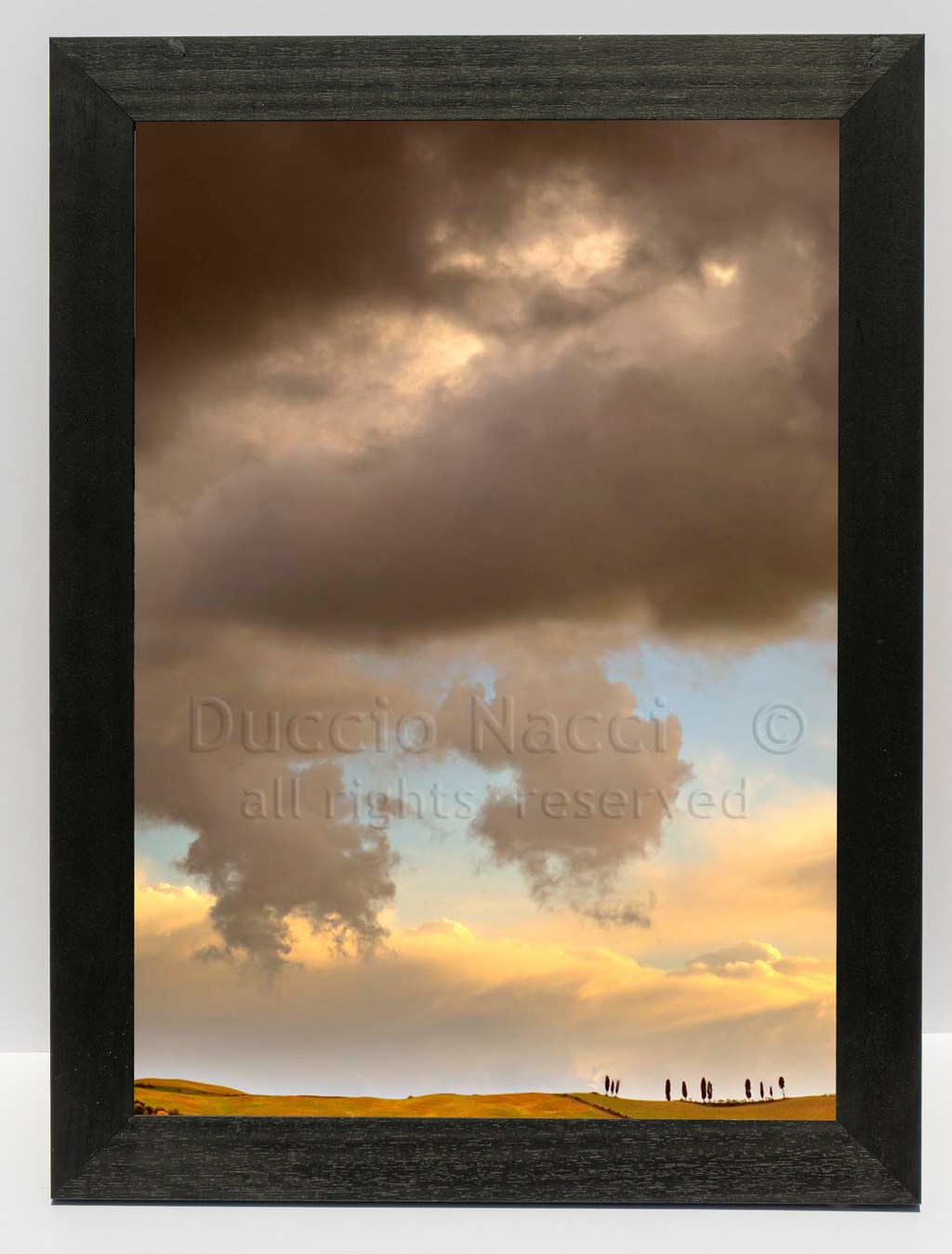 Golden Hills - Duccio Nacci