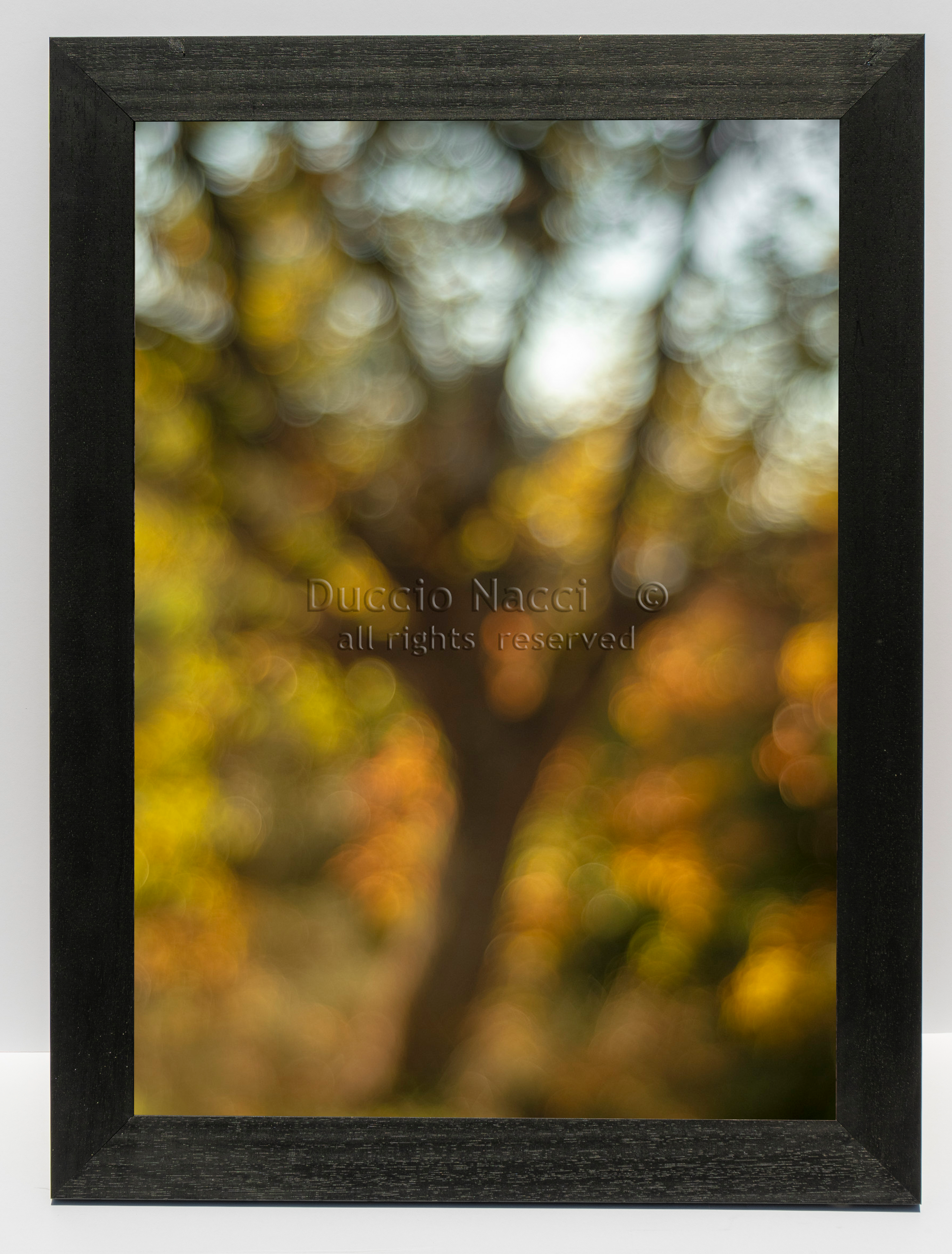 Tree of Light