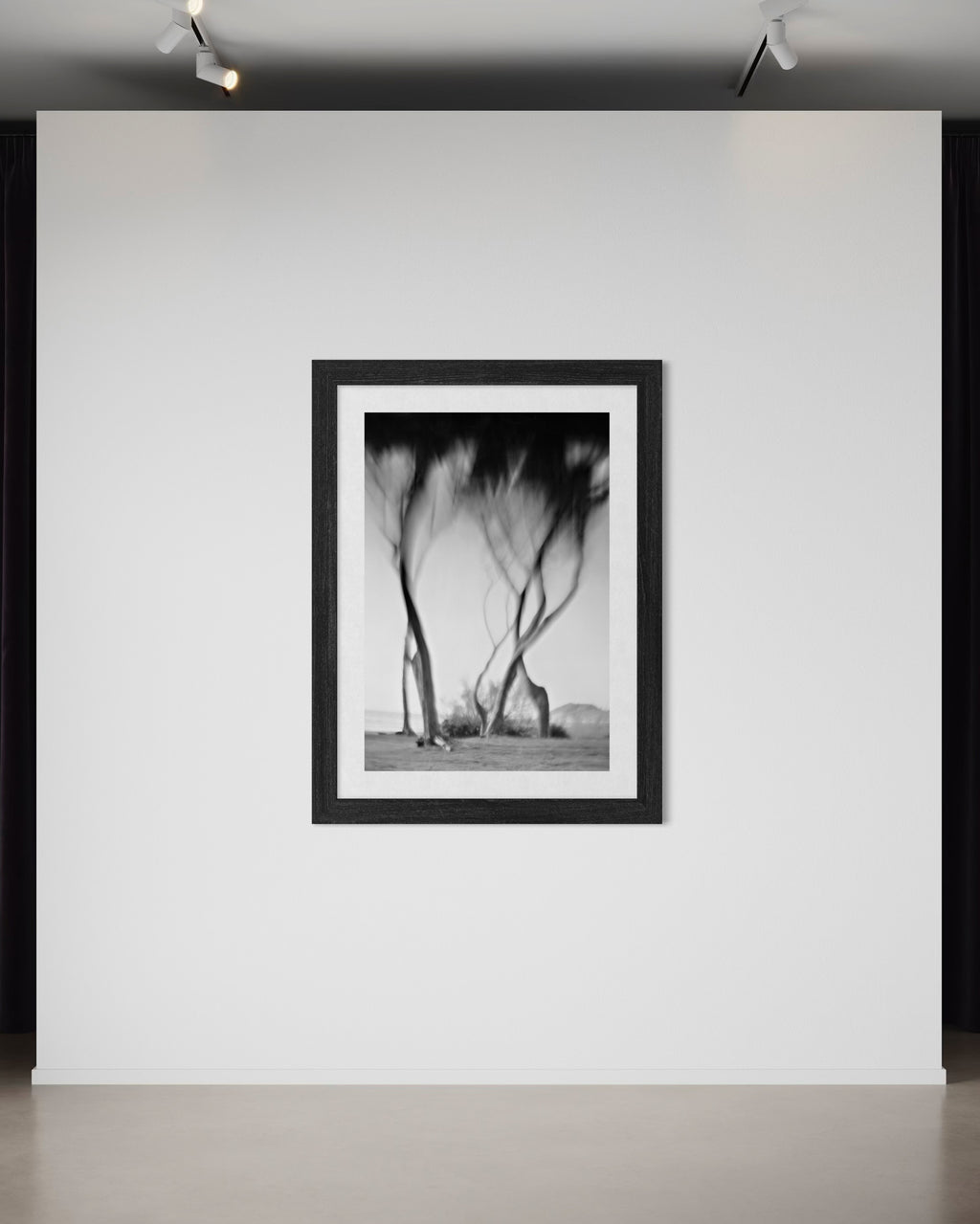 Ancient Wind of Pines - Duccio Nacci